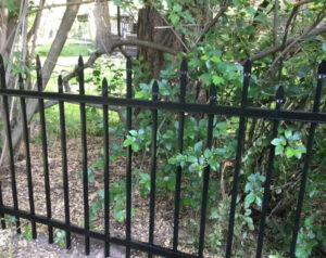wrought_iron_fencing_08_img